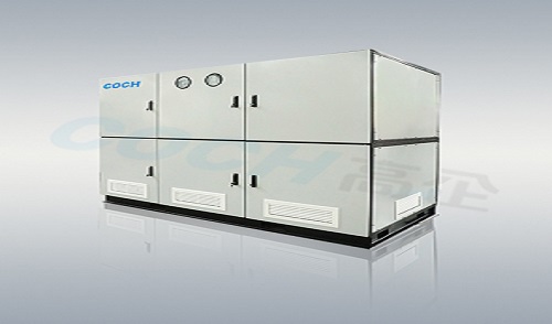 Future development and forecast of green hydrogen