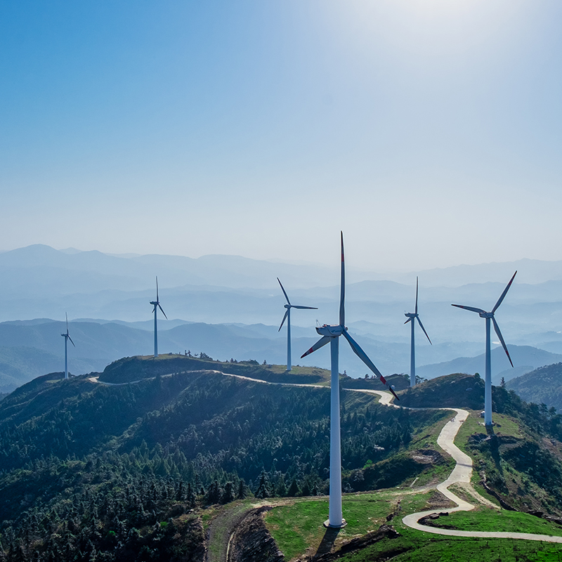 Future development and forecast of green hydrogen